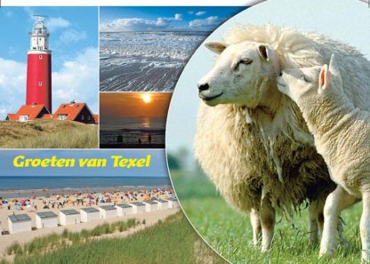 Ans.Krt.Texel