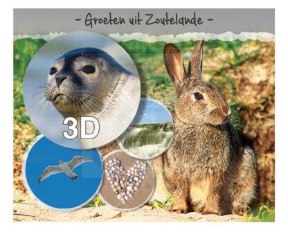 3D Hello Cards Zoutelande