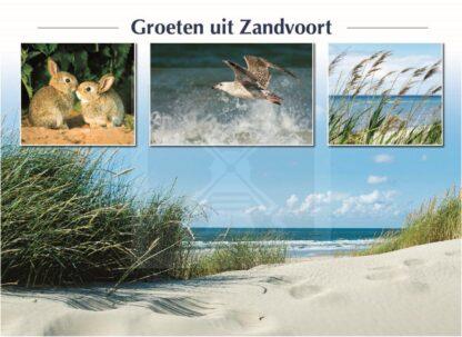 Ans.Krt.Zandvoort