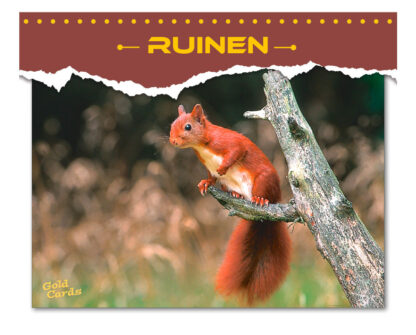 GoldCards Ruinen